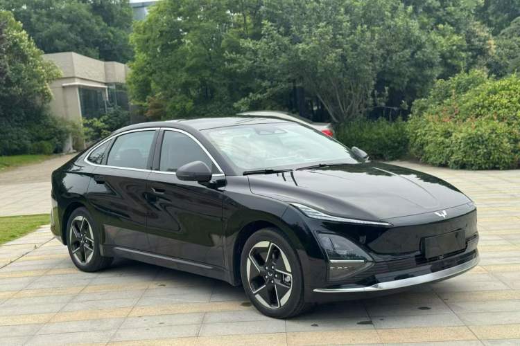 Used Wuling Xingguang 2025 610 km Smart Flagship Version Exterior 3