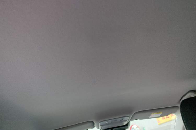 Used Wuling Xingguang 2025 150 km Smart Pilot Version Headliner