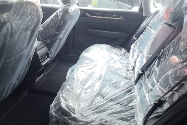Used Wuling Xingguang 2025 510 km Advanced Smart Version Left Rear Seat