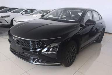 Used Wuling Xingguang 2025 70km Smart Standard Version
