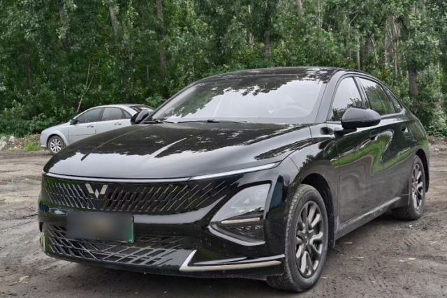 Used Wuling Xingguang 2025 70km Smart Standard Version
