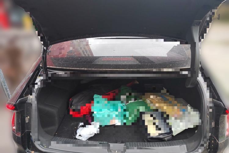 Used Wuling Xingguang 2025 150 km Smart Advanced Version Trunk