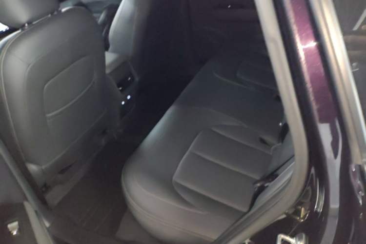 Used Wuling Xingguang 2025 70km Smart Standard Version Left Rear Seat