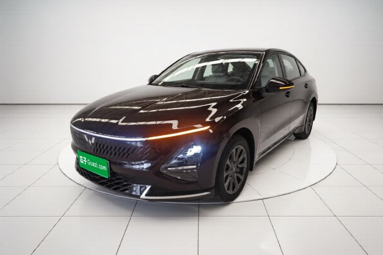 Wuling Xingguang 2025 70km Smart Standard Version