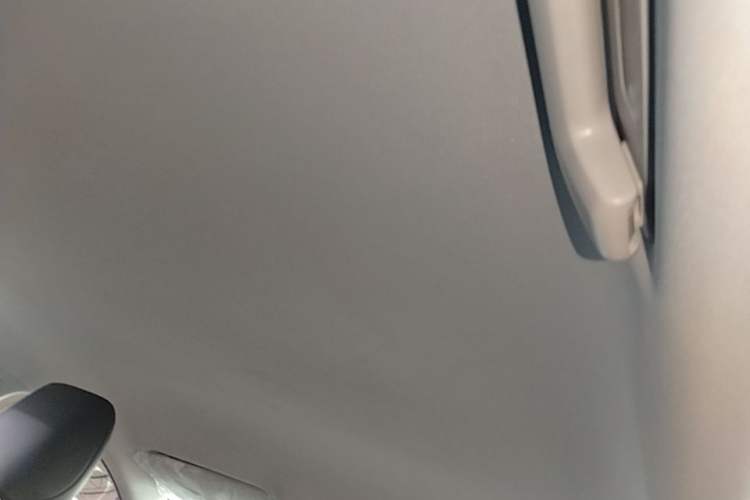 Used Wuling Xingguang 2025 70km Smart Standard Version Headliner