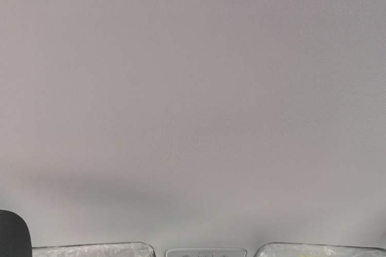 Used Wuling Xingguang 2025 70km Smart Standard Version Headliner