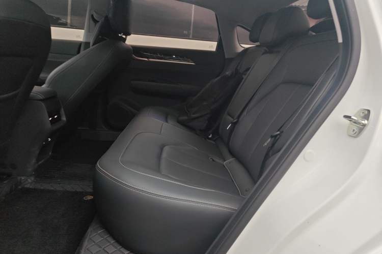 Used Wuling Xingguang 2025 70km Smart Standard Version Left Rear Seat