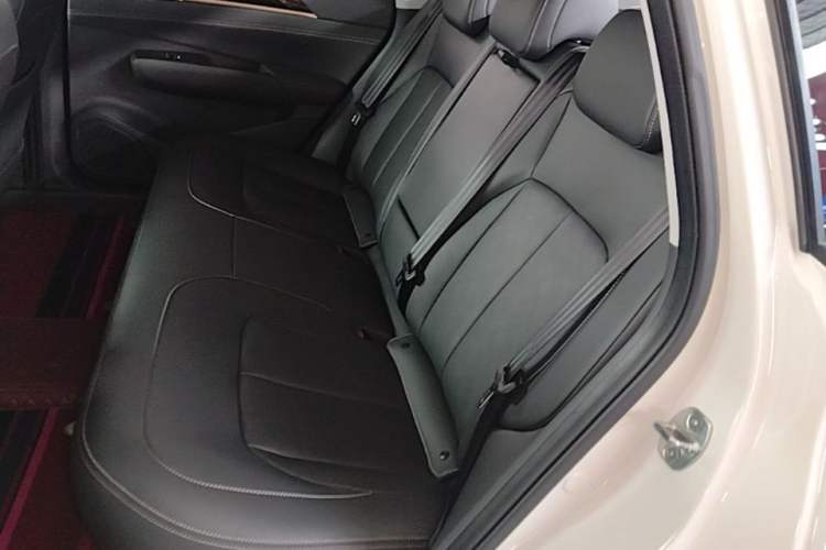 Used Wuling Xingguang 2025 70km Smart Standard Version Left Rear Seat