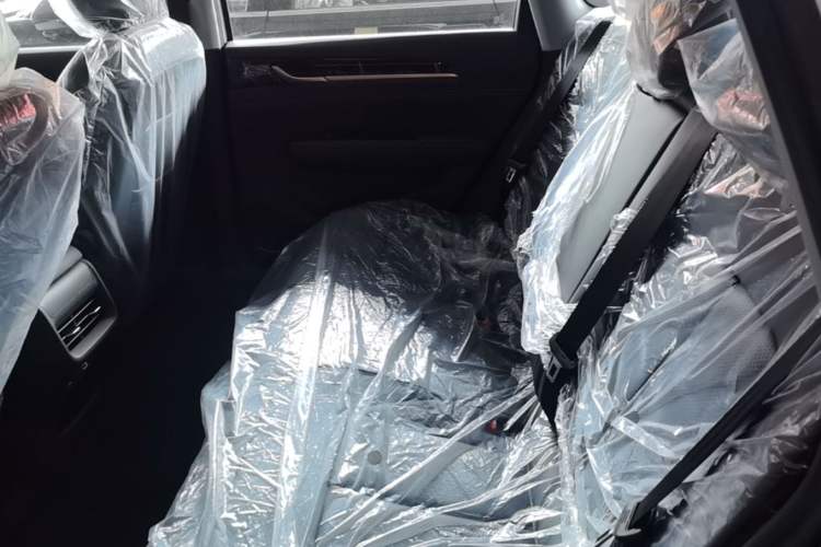 Used Wuling Xingguang 2025 510 km Advanced Smart Version Left Rear Seat