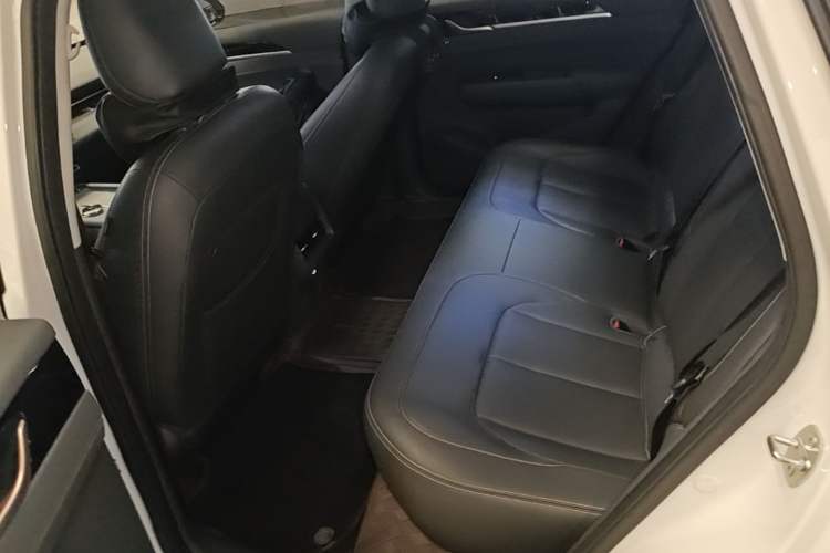 Used Wuling Xingguang 2025 70km Smart Standard Version Left Rear Seat