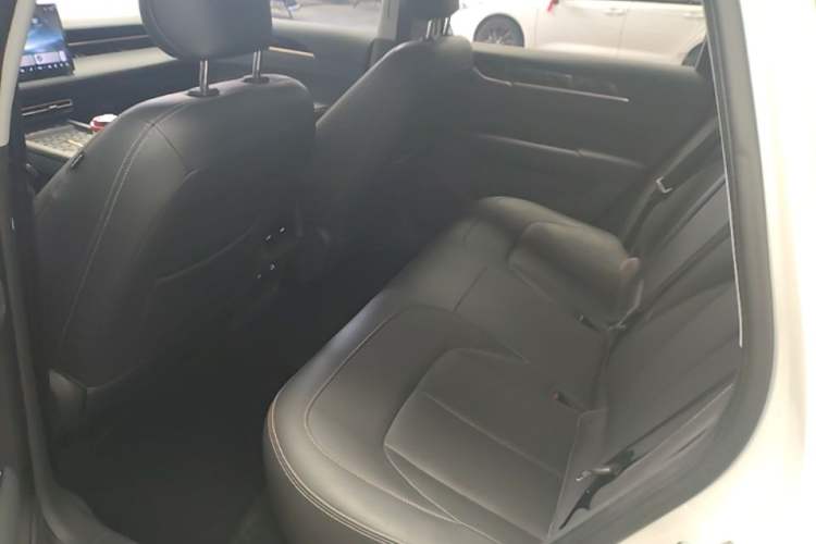 Used Wuling Xingguang 2025 70km Smart Standard Version Left Rear Seat