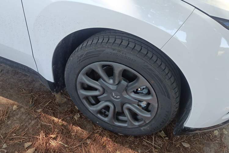 Used Wuling Xingguang 2025 70km Smart Standard Version Right Front Wheel Hub