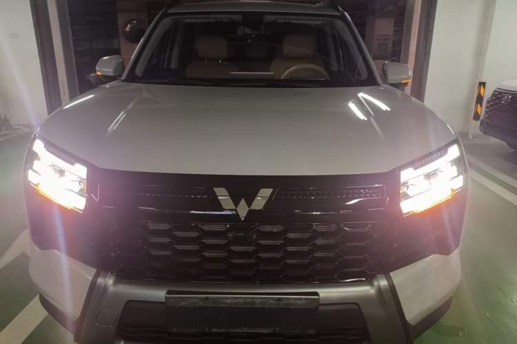 Used Wuling Xingguang 560 New Energy 2026 Model, Plug-in Hybrid, 125 km, Luxury Version Front