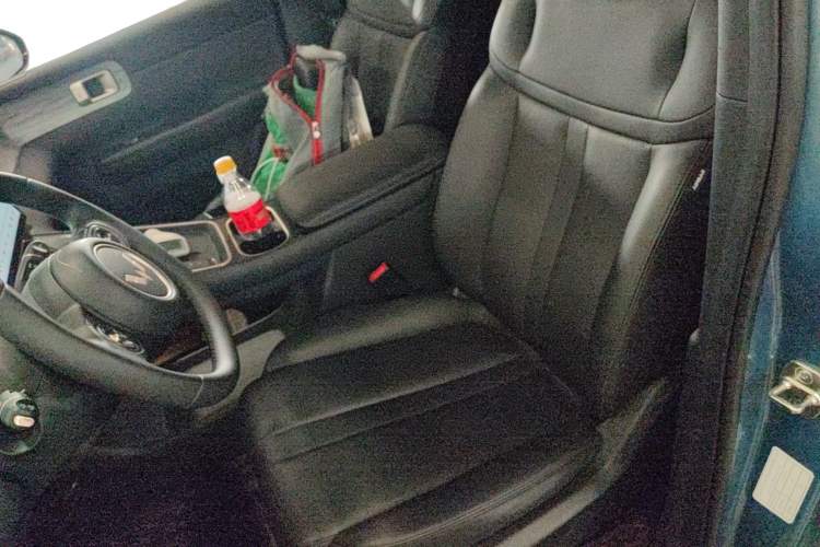 Used Wuling Xingguang S 2024 130 km Flagship Version Left Front Seat