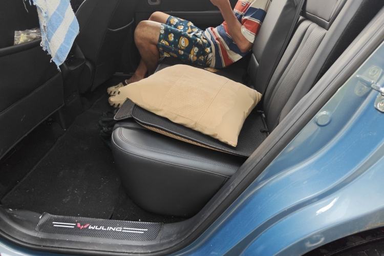 Used Wuling Xingguang S 2024 130 km Flagship Version Left Rear Seat