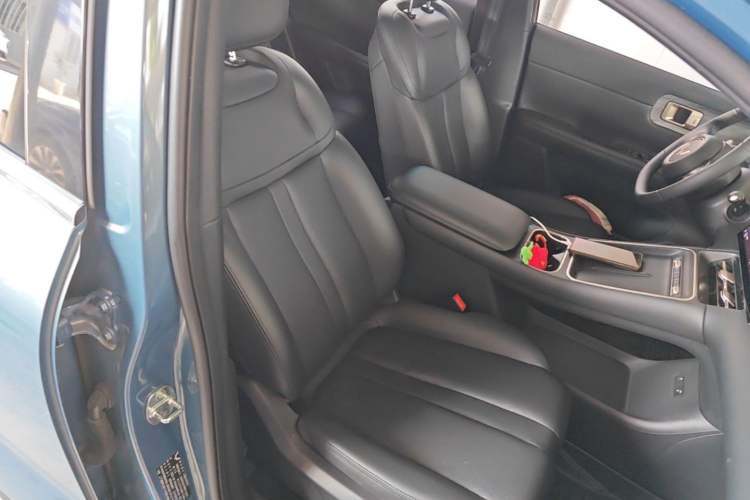 Used Wuling Xingguang S 2024 510 km Flagship Version Right Front Seat