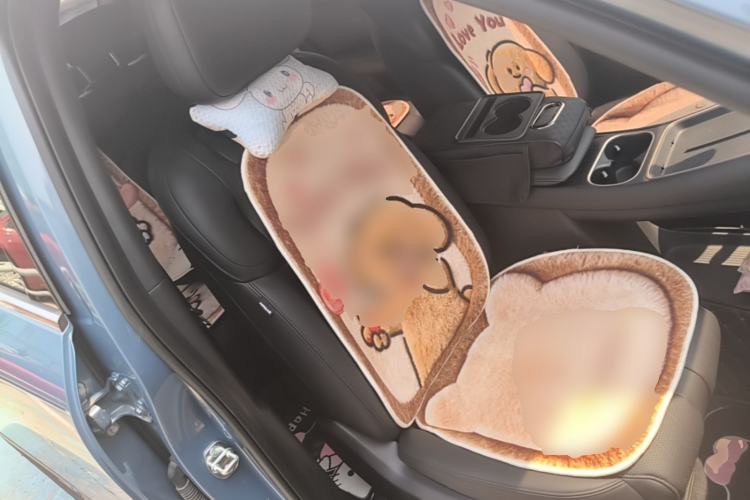Used Wuling Xingguang S 2024 130 km Flagship Version Right Front Seat