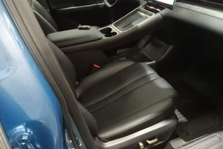 Used Wuling Xingguang S 2024 130 km Flagship Version Right Front Seat