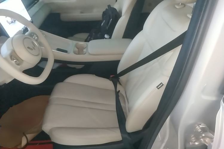 Used Wuling Xingguang S 2024 130 km Flagship Version Left Front Seat