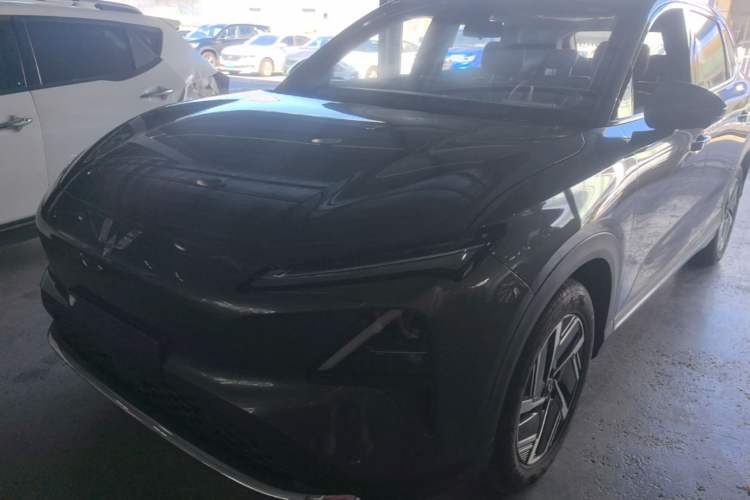 Wuling Xingguang S 2024 510 km Flagship Version