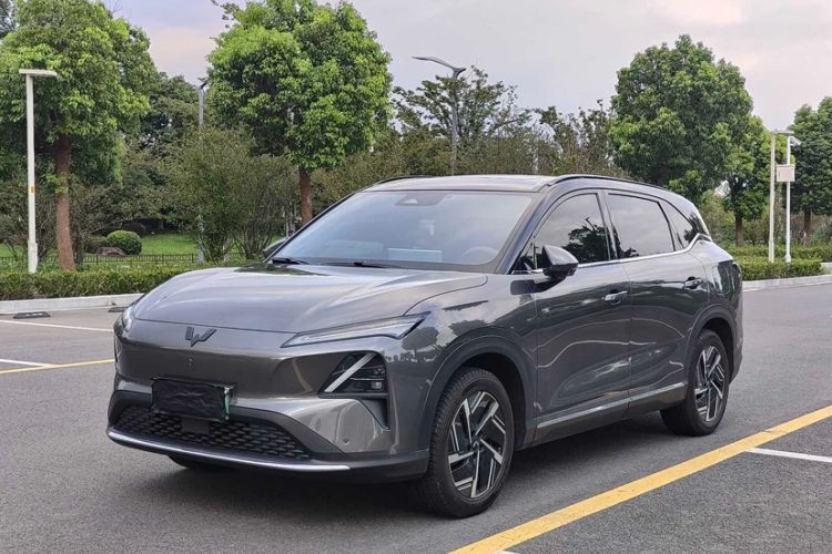 Wuling Xingguang S 2024 510 km Flagship Version