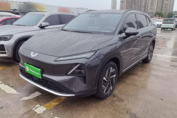 Wuling Xingguang S 2024 510 km Flagship Version