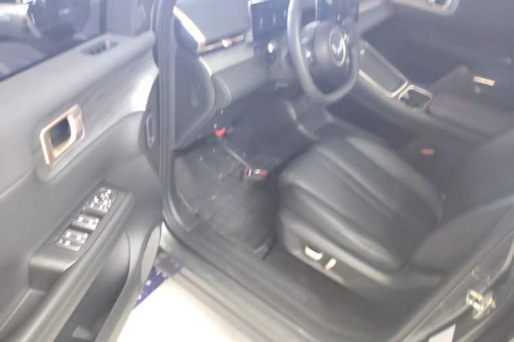 Used Wuling Xingguang S 2024 130 km Flagship Version Driver Seat