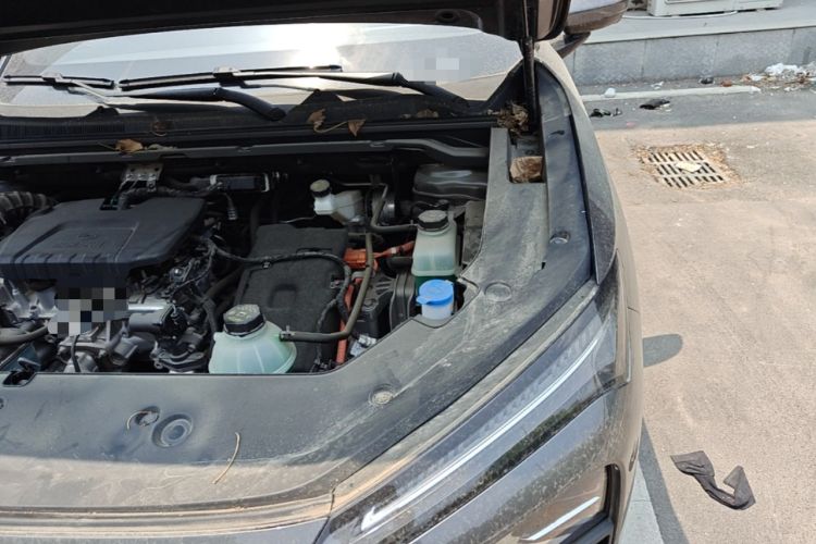 Used Wuling Xingguang S 2024 130 km Flagship Version Engine Bay Left