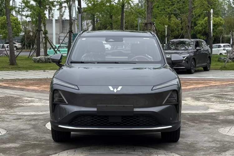 Used Wuling Xingguang S 2024 510 km Flagship Version Exterior 1