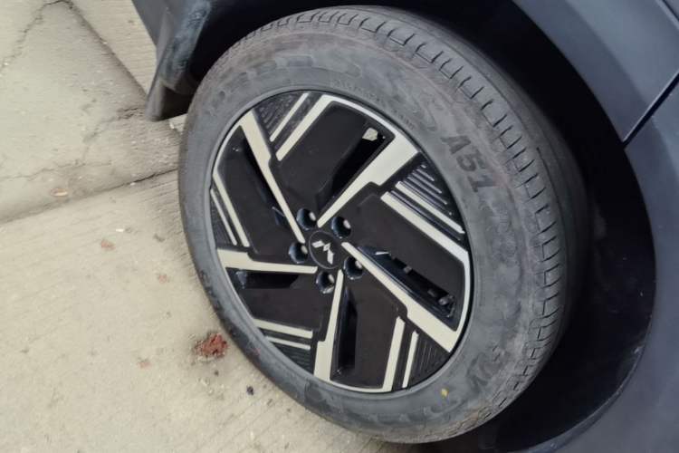 Used Wuling Xingguang S 2024 130 km Flagship Version Exterior 5