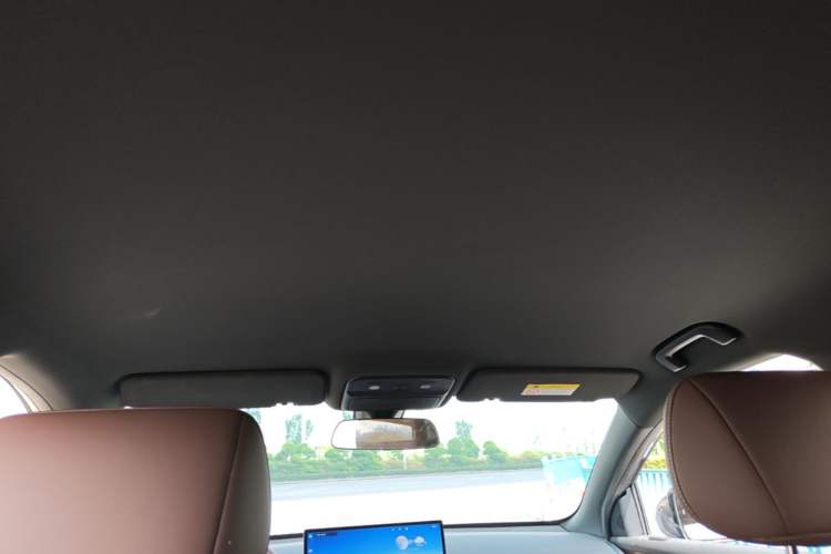 Used Wuling Xingguang S 2024 510km Flagship Edition Headliner