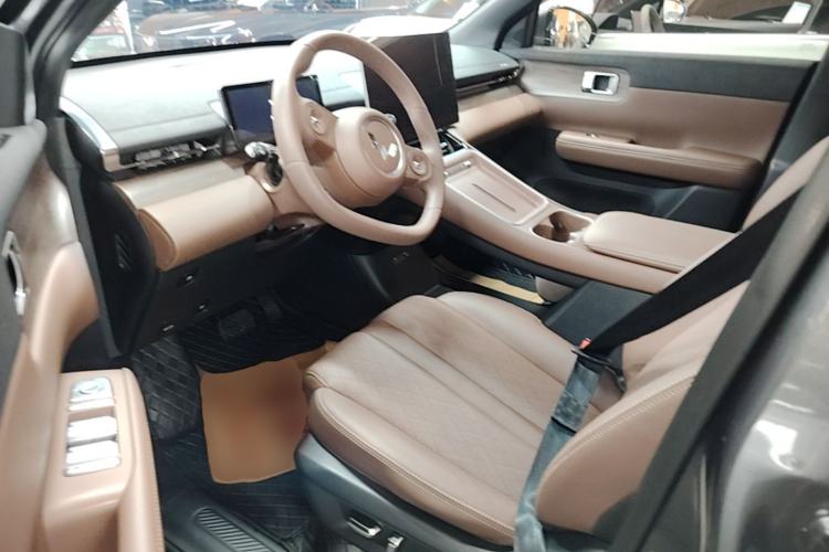 Used Wuling Xingguang S 2024 130 km Flagship Version Left Front Seat