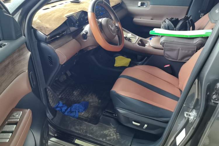 Used Wuling Xingguang S 2024 130 km Flagship Version Left Front Seat