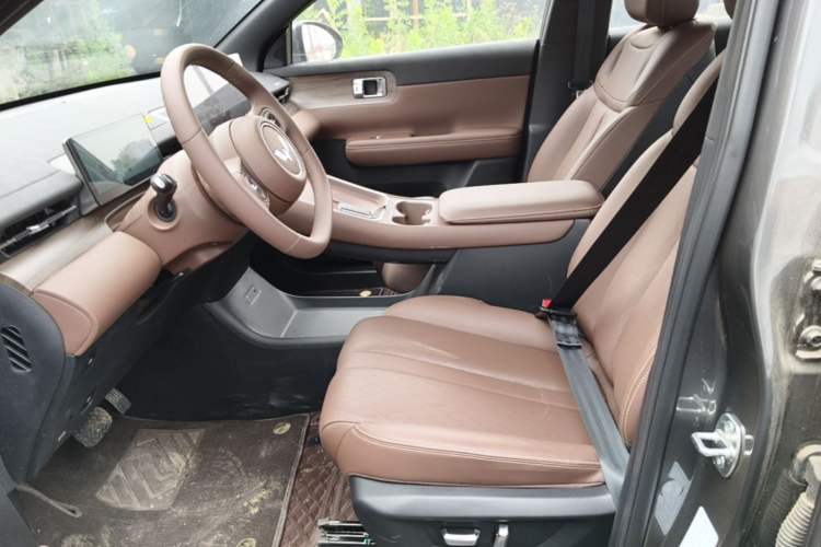 Used Wuling Xingguang S 2024 130 km Flagship Version Left Front Seat