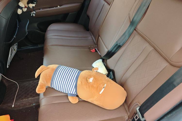 Used Wuling Xingguang S 2024 510 km Flagship Version Left Rear Seat