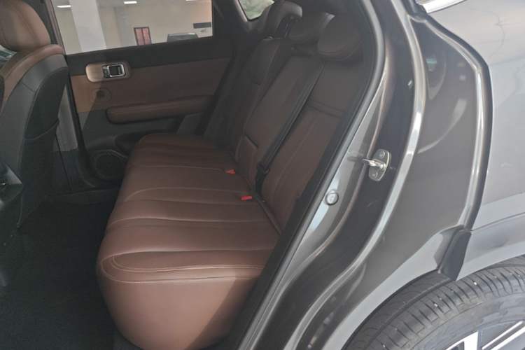 Used Wuling Xingguang S 2024 130 km Flagship Version Left Rear Seat