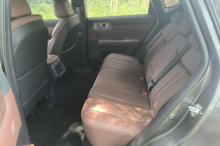Used Wuling Xingguang S 2024 130 km Flagship Version Left Rear Seat