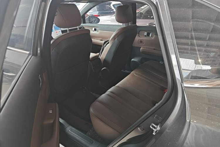 Used Wuling Xingguang S 2024 130 km Flagship Version Left Rear Seat