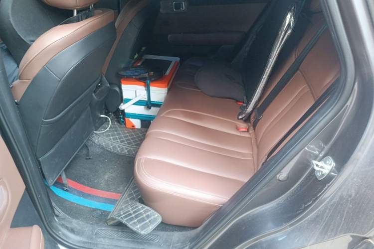 Used Wuling Xingguang S 2024 130 km Flagship Version Left Rear Seat
