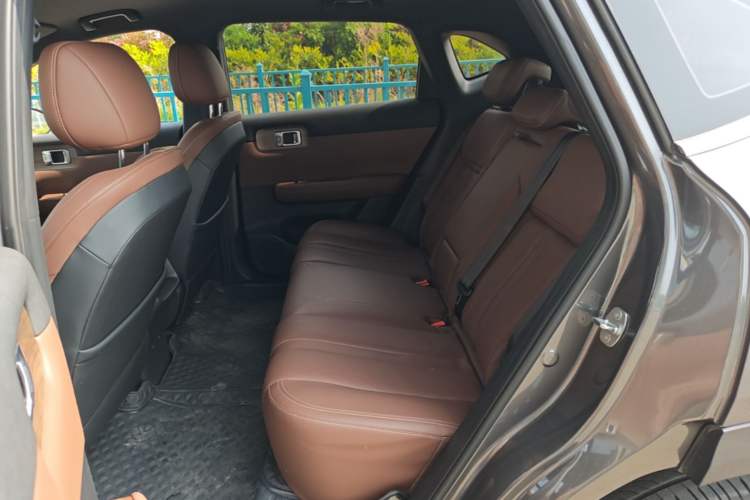 Used Wuling Xingguang S 2024 510km Flagship Edition Left Rear Seat