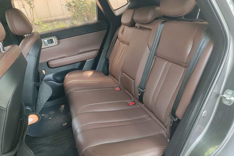 Used Wuling Xingguang S 2024 60km Advanced Version Left Rear Seat