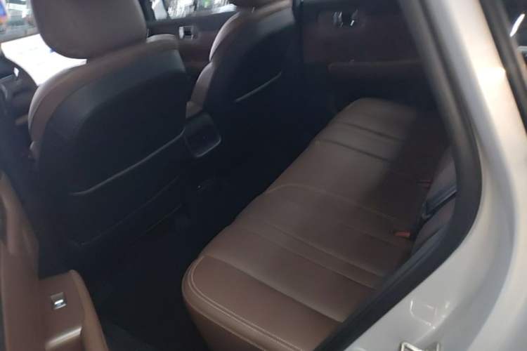 Used Wuling Xingguang S 2024 130 km Flagship Version Left Rear Seat