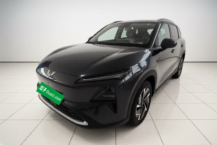 Wuling Xingguang S 2024 130 km Flagship Version