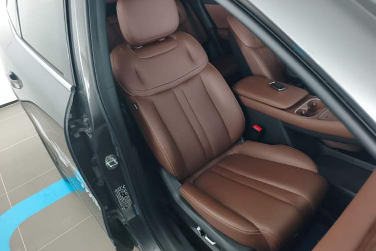 Used Wuling Xingguang S 2024 130 km Flagship Version Right Front Seat