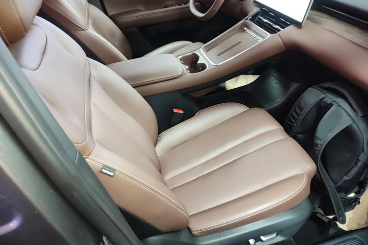 Used Wuling Xingguang S 2024 510 km Flagship Version Right Front Seat