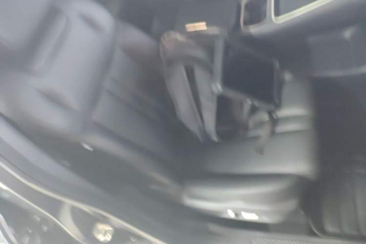 Used Wuling Xingguang S 2024 130 km Flagship Version Right Front Seat