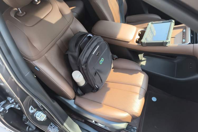 Used Wuling Xingguang S 2024 510 km Flagship Version Right Front Seat