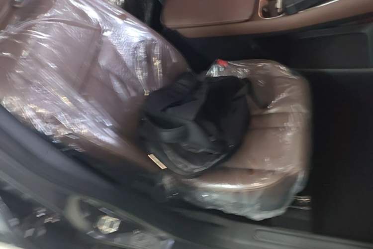 Used Wuling Xingguang S 2024 130km Flagship Version Right Front Seat