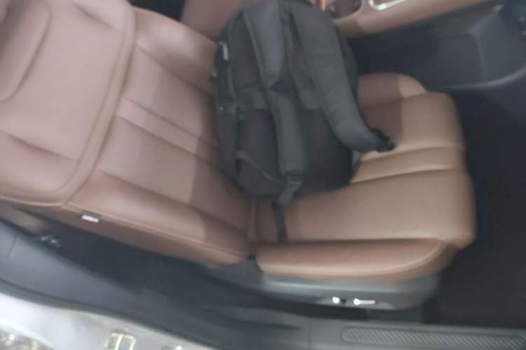 Used Wuling Xingguang S 2024 130 km Flagship Version Right Front Seat