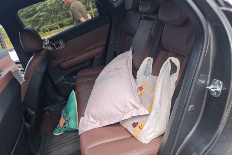 Used Wuling Xingguang S 2024 130 km Flagship Version Left Rear Seat
